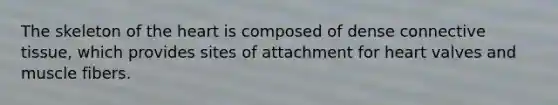 The skeleton of <a href='https://www.questionai.com/knowledge/kya8ocqc6o-the-heart' class='anchor-knowledge'>the heart</a> is composed of dense <a href='https://www.questionai.com/knowledge/kYDr0DHyc8-connective-tissue' class='anchor-knowledge'>connective tissue</a>, which provides sites of attachment for heart valves and muscle fibers.