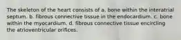 The skeleton of the heart consists of a. bone within the interatrial septum. b. fibrous connective tissue in the endocardium. c. bone within the myocardium. d. fibrous connective tissue encircling the atrioventricular orifices.