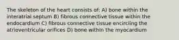 The skeleton of the heart consists of: A) bone within the interatrial septum B) fibrous connective tissue within the endocardium C) fibrous connective tissue encircling the atrioventricular orifices D) bone within the myocardium