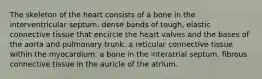 The skeleton of the heart consists of a bone in the interventricular septum. dense bands of tough, elastic connective tissue that encircle the heart valves and the bases of the aorta and pulmonary trunk. a reticular connective tissue within the myocardium. a bone in the interatrial septum. fibrous connective tissue in the auricle of the atrium.