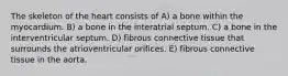 The skeleton of the heart consists of A) a bone within the myocardium. B) a bone in the interatrial septum. C) a bone in the interventricular septum. D) fibrous connective tissue that surrounds the atrioventricular orifices. E) fibrous connective tissue in the aorta.