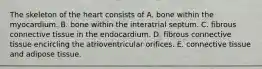 The skeleton of the heart consists of A. bone within the myocardium. B. bone within the interatrial septum. C. fibrous connective tissue in the endocardium. D. fibrous connective tissue encircling the atrioventricular orifices. E. connective tissue and adipose tissue.