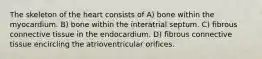 The skeleton of the heart consists of A) bone within the myocardium. B) bone within the interatrial septum. C) fibrous connective tissue in the endocardium. D) fibrous connective tissue encircling the atrioventricular orifices.