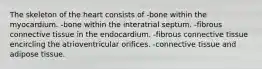 The skeleton of the heart consists of -bone within the myocardium. -bone within the interatrial septum. -fibrous connective tissue in the endocardium. -fibrous connective tissue encircling the atrioventricular orifices. -connective tissue and adipose tissue.