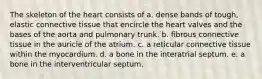 The skeleton of the heart consists of a. dense bands of tough, elastic connective tissue that encircle the heart valves and the bases of the aorta and pulmonary trunk. b. fibrous connective tissue in the auricle of the atrium. c. a reticular connective tissue within the myocardium. d. a bone in the interatrial septum. e. a bone in the interventricular septum.