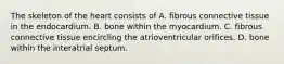The skeleton of the heart consists of A. fibrous connective tissue in the endocardium. B. bone within the myocardium. C. fibrous connective tissue encircling the atrioventricular orifices. D. bone within the interatrial septum.