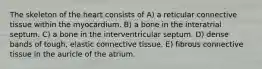 The skeleton of the heart consists of A) a reticular connective tissue within the myocardium. B) a bone in the interatrial septum. C) a bone in the interventricular septum. D) dense bands of tough, elastic connective tissue. E) fibrous connective tissue in the auricle of the atrium.