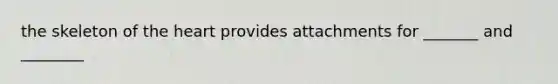 the skeleton of the heart provides attachments for _______ and ________