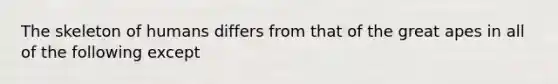 The skeleton of humans differs from that of the great apes in all of the following except