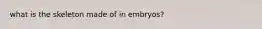 what is the skeleton made of in embryos?