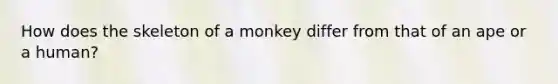 How does the skeleton of a monkey differ from that of an ape or a human?