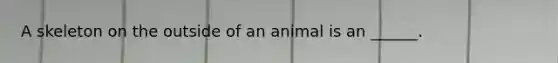 A skeleton on the outside of an animal is an ______.