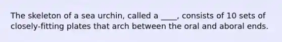 The skeleton of a sea urchin, called a ____, consists of 10 sets of closely-fitting plates that arch between the oral and aboral ends.