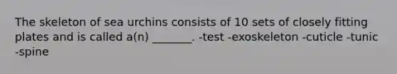 The skeleton of sea urchins consists of 10 sets of closely fitting plates and is called a(n) _______. -test -exoskeleton -cuticle -tunic -spine