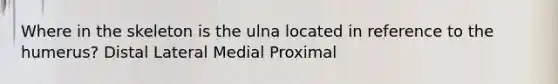 Where in the skeleton is the ulna located in reference to the humerus? Distal Lateral Medial Proximal