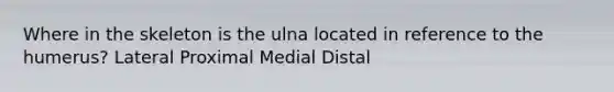 Where in the skeleton is the ulna located in reference to the humerus? Lateral Proximal Medial Distal