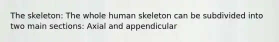 The skeleton: The whole human skeleton can be subdivided into two main sections: Axial and appendicular