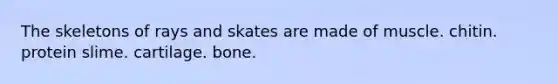 The skeletons of rays and skates are made of muscle. chitin. protein slime. cartilage. bone.