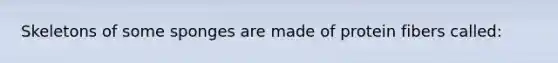 Skeletons of some sponges are made of protein fibers called: