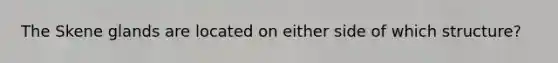 The Skene glands are located on either side of which structure?
