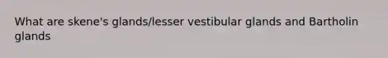 What are skene's glands/lesser vestibular glands and Bartholin glands