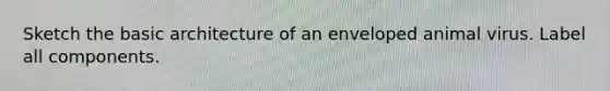 Sketch the basic architecture of an enveloped animal virus. Label all components.