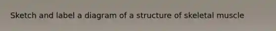 Sketch and label a diagram of a structure of skeletal muscle
