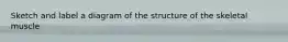 Sketch and label a diagram of the structure of the skeletal muscle