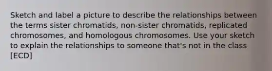 Sketch and label a picture to describe the relationships between the terms sister chromatids, non-sister chromatids, replicated chromosomes, and homologous chromosomes. Use your sketch to explain the relationships to someone that's not in the class [ECD]