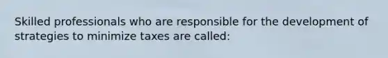 Skilled professionals who are responsible for the development of strategies to minimize taxes are called:
