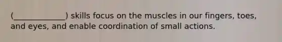 (_____________) skills focus on the muscles in our fingers, toes, and eyes, and enable coordination of small actions.