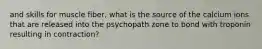 and skills for muscle fiber, what is the source of the calcium ions that are released into the psychopath zone to bond with troponin resulting in contraction?