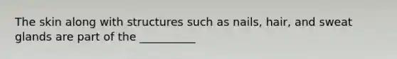 The skin along with structures such as nails, hair, and sweat glands are part of the __________
