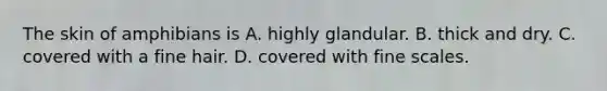 The skin of amphibians is A. highly glandular. B. thick and dry. C. covered with a fine hair. D. covered with fine scales.