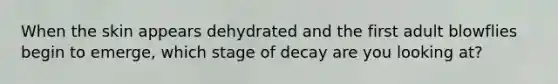When the skin appears dehydrated and the first adult blowflies begin to emerge, which stage of decay are you looking at?