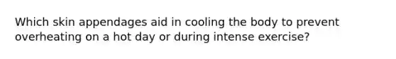 Which skin appendages aid in cooling the body to prevent overheating on a hot day or during intense exercise?