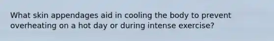 What skin appendages aid in cooling the body to prevent overheating on a hot day or during intense exercise?