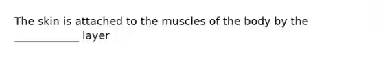 The skin is attached to the muscles of the body by the ____________ layer