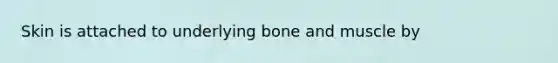 Skin is attached to underlying bone and muscle by