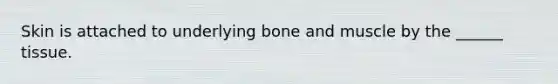 Skin is attached to underlying bone and muscle by the ______ tissue.