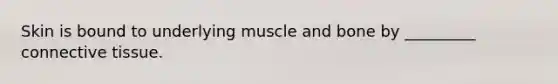 Skin is bound to underlying muscle and bone by _________ connective tissue.