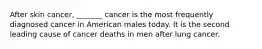 After skin cancer, _______ cancer is the most frequently diagnosed cancer in American males today. It is the second leading cause of cancer deaths in men after lung cancer.