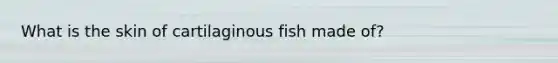 What is the skin of cartilaginous fish made of?