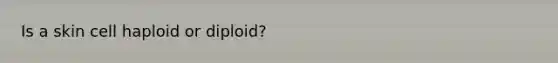 Is a skin cell haploid or diploid?