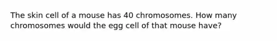 The skin cell of a mouse has 40 chromosomes. How many chromosomes would the egg cell of that mouse have?