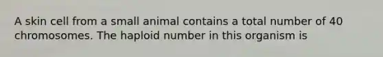 A skin cell from a small animal contains a total number of 40 chromosomes. The haploid number in this organism is