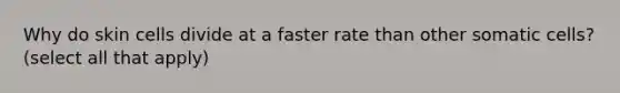 Why do skin cells divide at a faster rate than other somatic cells? (select all that apply)