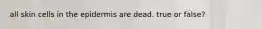all skin cells in the epidermis are dead. true or false?