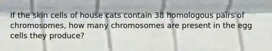 If the skin cells of house cats contain 38 homologous pairs of chromosomes, how many chromosomes are present in the egg cells they produce?