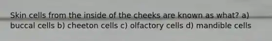 Skin cells from the inside of the cheeks are known as what? a) buccal cells b) cheeton cells c) olfactory cells d) mandible cells